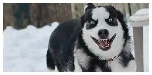  十条笑话你知道作为一个女生,最悲哀的事是什么嘛