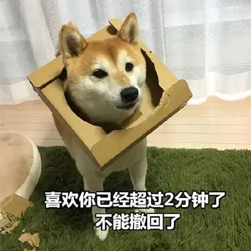  七夕搞笑表情包青蛙孤寡单身狗出租一套