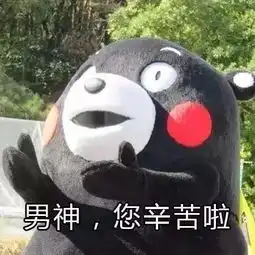  贵州正宇