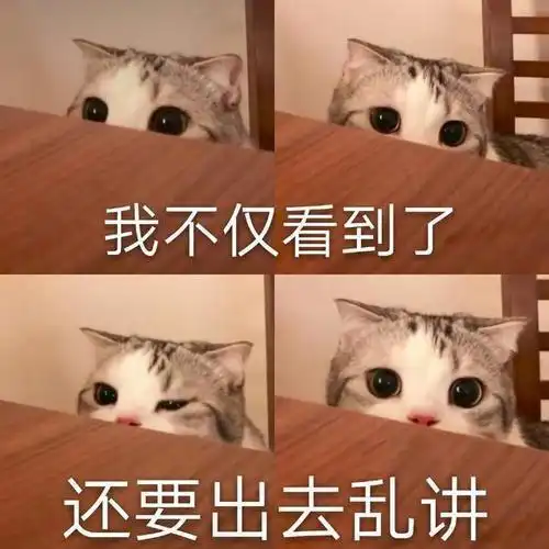  可爱猫猫表情包