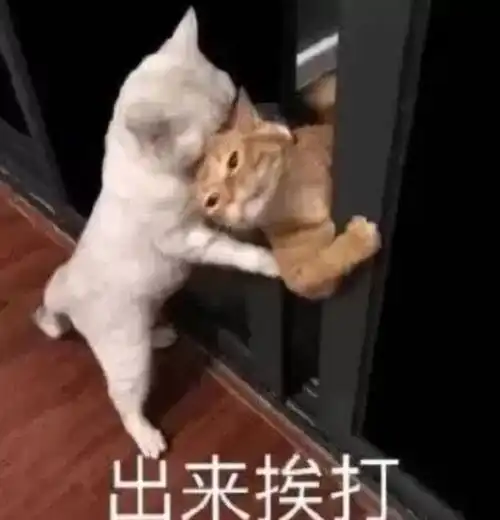  过年回家怎么怼沙雕亲戚这些话怼得太爽了哈哈哈