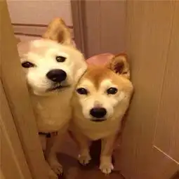  随笔