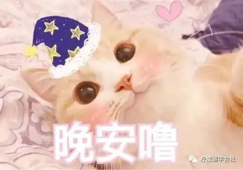 柠檬留学日本大学巡礼日本关西学院大学学费宿舍和食堂 柠檬留学日本大学巡礼日本关西学院大学学费宿舍和食堂