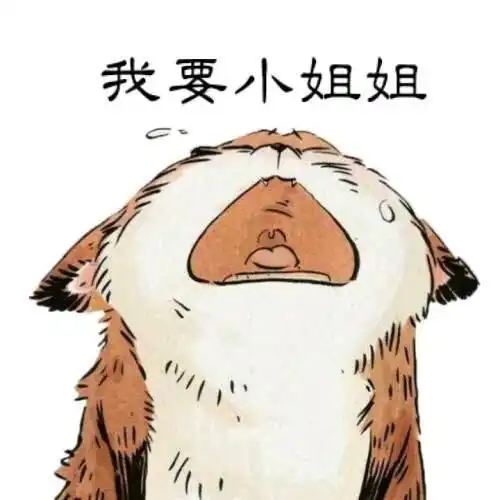 合租只限女生,为何男性已成弱势群体 合租只限女生,为何男性已成弱势群体