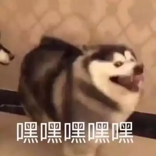  郑爽承包节目弹幕的女人,直男一样的女人,需要你了解一下