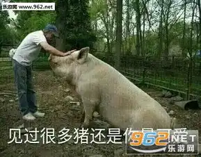  猪系列套路表情包猪系列套路表情包大全下载无水印最新合集乐游网游戏下载
