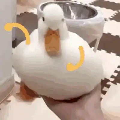 ins表情包动图表情包