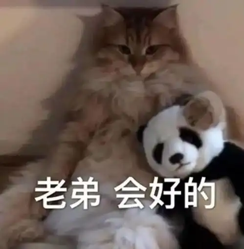 沙雕狗子表情包劈叉