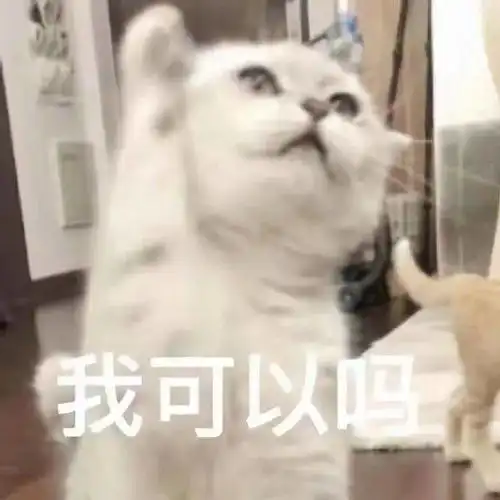  沙雕搞笑猫猫表情包