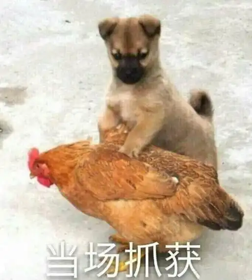  班级群一张乃照引发的绿帽现场x老师的料也被扒出来了