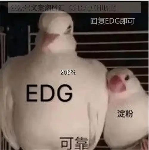  恭喜edg表情我只说句edg牛edg可靠淀粉鸽子表情包没想到吧我们赢了