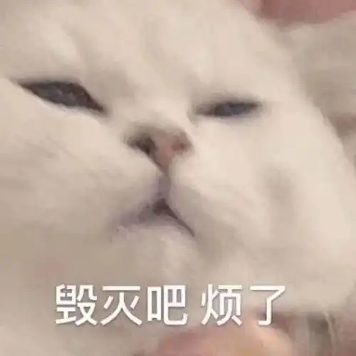  沙雕表情包图片蠢蠢的,萌萌的,傻傻还很可爱的