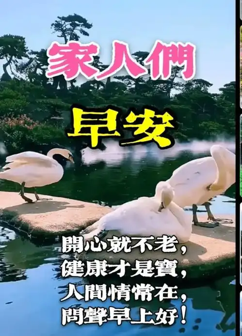  早上好表情包,家人们早晨好,开心就不老,健康才是宝