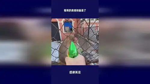  猴哥的表情快崩溃了