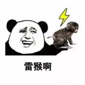 stop猴哥表情包