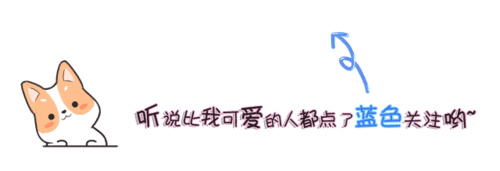  最全沙雕狗子表情包合辑年度最傻狗子都在这儿了
