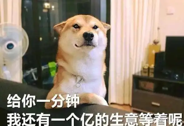  年度最搞笑的狗狗表情包都在这里了,看到这么傻的狗子,你笑了吗