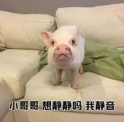  小哥哥一起打游戏嘛我98k消音