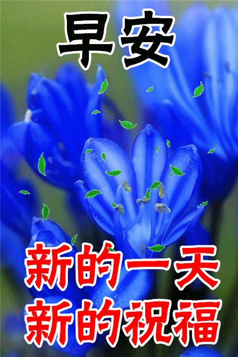  7张冬日最新早上好动态表情图片大全,冬日清晨早上好问候语图片精选