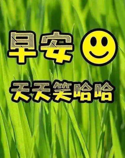  清晨最新版早上好温暖问候动态表情图片暖心的早上好阳光祝福图片