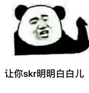  滑雪skr是个劫