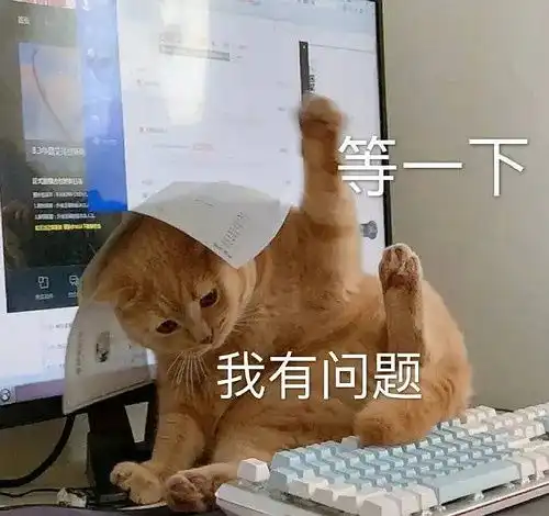  我的收藏