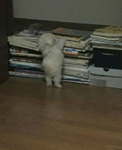 宝贝好棒表情包gif