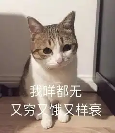 捏脸说爱我表情包仙女