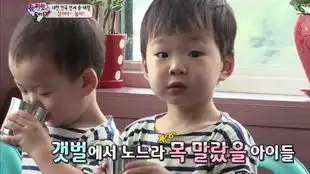  三宝团队合作抓捕空气净化器