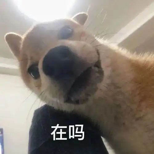  沙雕搞笑斗图表情包