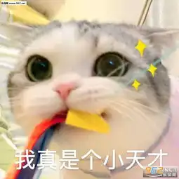  小恐龙吃人然后变成我们表情包我真是个小天才表情包下载乐游网游戏下载