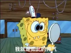 r1se表情包花开是壶海绵
