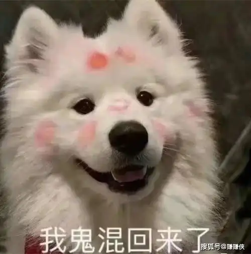  必备表情包图片帮你优雅的怼人,骂人不带脏字