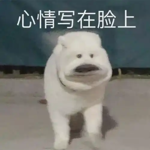  吵架的时候叫对方是小笨蛋,这是什么招数瞬间生不起气来了