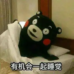  今日斗图表情包精选62张