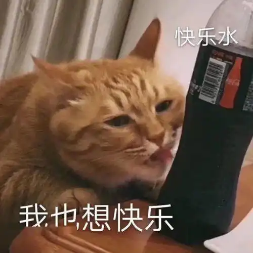  沙雕表情大哥莫得感情