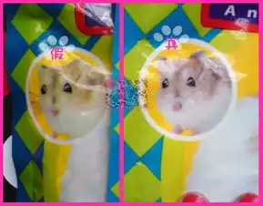  alex仓鼠粮的真假辨认