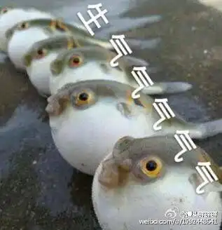  退役jk少女软妹心安利海底捞攻略潮汕牛...