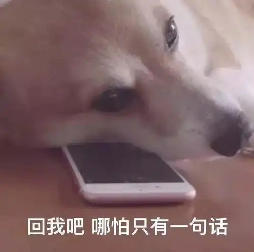  有哪些哄男朋友的可爱表情包