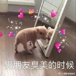  猪肉价格已开始回落