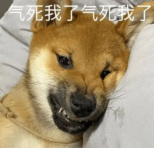  分手后去男友家偷狗,得到毛孩子高度配合,全程蹑手蹑脚