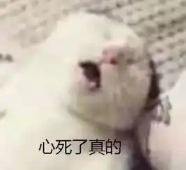  一只母猫可以同时怀上多只公猫的孩子吗真的不是一个爹