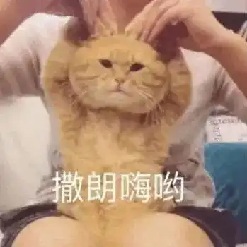  表情包过来让我亲一下