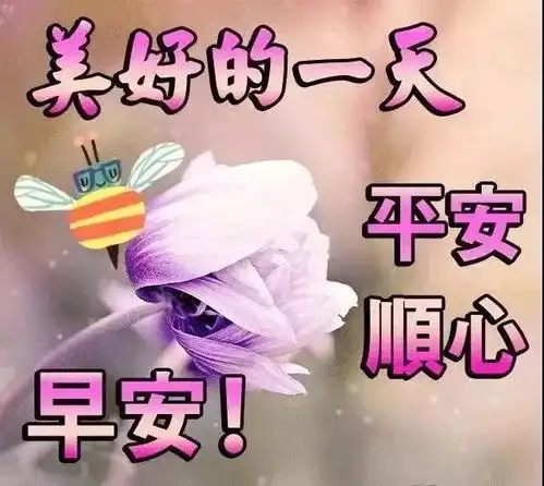  星期三最新漂亮早上好动态美图鲜花带字,早晨好幸福暖心的问候表情图片