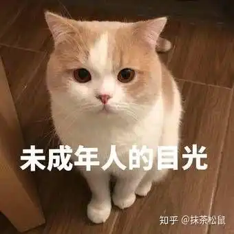  哪位好心人能送我以下猫猫的相关表情图片