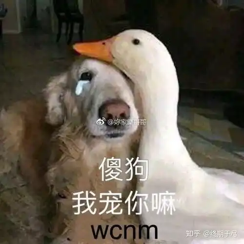  如果你的名字首字母简称和蔡徐坤一样,而且经常被人调侃,怎么办