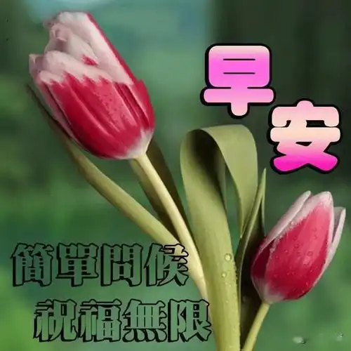  5月12日早安问候暖心短信祝福语,微信早安最美的图片