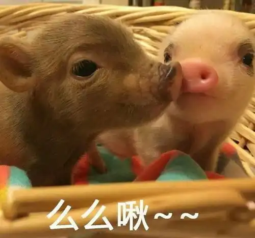  想要和你去旅行