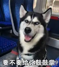  dog带字微信表情包