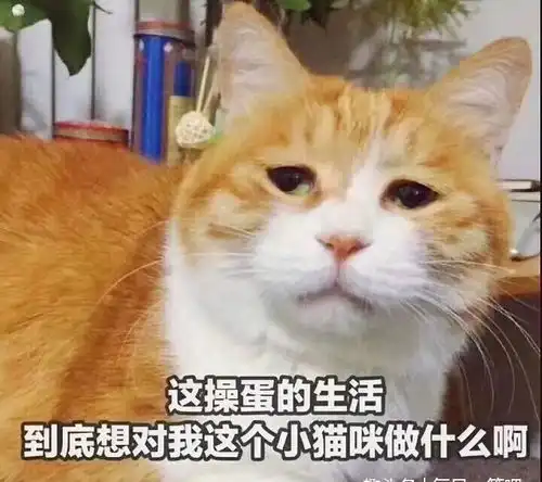  搞笑段子图片最后我们仨一起打的狂犬疫苗